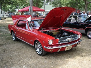 show pic