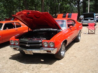 Albion ford illinois