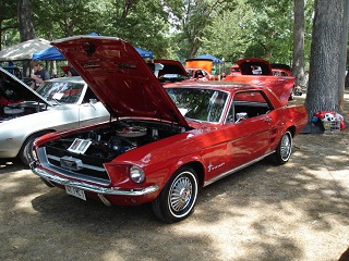 show pic
