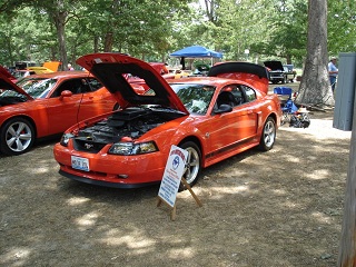 show pic